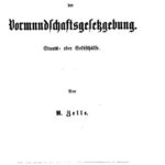 خرید و دانلود نسخه کامل کتاب Reform der Vormundschaftsgesetzgebung. Staats- oder Selbsthilfe
