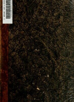 خرید و دانلود نسخه کامل کتاب Reise durch das Türkische Reich, Ägypten und Persien, während der ersten sechs Jahre der Französischen Republik oder von 1792 bis 1798