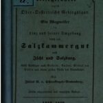 خرید و دانلود نسخه کامل کتاب Reisegefährte durch Ober-Österreichs Gebirgsland. Ein Wegweiser in Linz und seiner Umgebung, durch das Salzkammergut nach Ischl und Salzburg