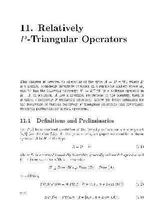 خرید و دانلود نسخه کامل کتاب Relatively P-Triangular Operators
