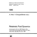 خرید و دانلود نسخه کامل کتاب Relativistic Fluid Dynamics