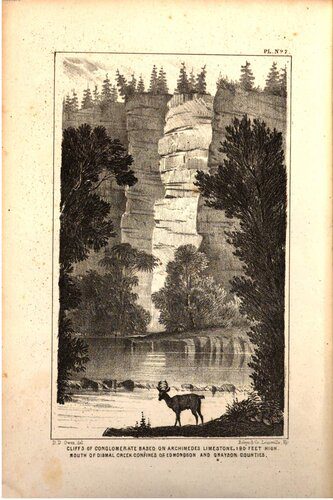 خرید و دانلود نسخه کامل کتاب Report of the Geological Survey in Kentucky made during the years 1854 and 1855_68c1bed349de5.jpeg خرید و دانلود نسخه کامل کتاب Report of the Geological Survey in Kentucky made during the years 1854 and 1855