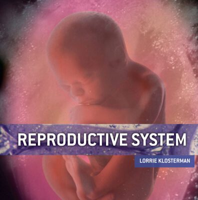 خرید و دانلود نسخه کامل کتاب Reproductive System (The Amazing Human Body)