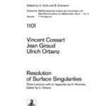 خرید و دانلود نسخه کامل کتاب Resolution of Surface Singularities