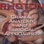 خرید و دانلود نسخه کامل کتاب Rhoton’s Cranial Anatomy and Surgical Approaches