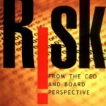 خرید و دانلود نسخه کامل کتاب Risk From the CEO and Board Perspective: What All Managers Need to Know About Growth in a Turbulent World
