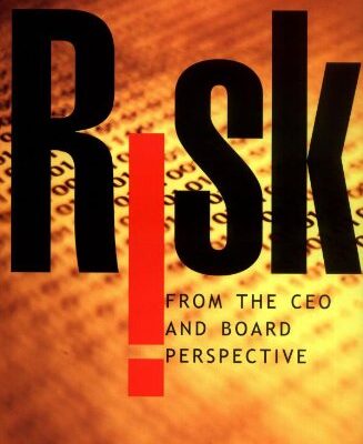 خرید و دانلود نسخه کامل کتاب Risk From the CEO and Board Perspective: What All Managers Need to Know About Growth in a Turbulent World