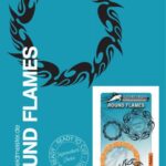 خرید و دانلود نسخه کامل کتاب Round Flames
