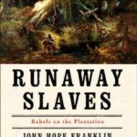 خرید و دانلود نسخه کامل کتاب Runaway Slaves: Rebels on the Plantation