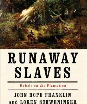 خرید و دانلود نسخه کامل کتاب Runaway Slaves: Rebels on the Plantation