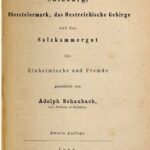 خرید و دانلود نسخه کامل کتاب Salzburg, Obersteiermark, das Österreichische Gebirge und das Salzkammergut für Einheimische und Fremde geschildert