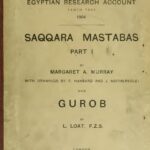 خرید و دانلود نسخه کامل کتاب Saqqara Mastabas