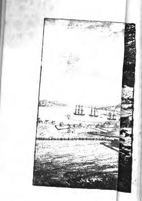 خرید و دانلود نسخه کامل کتاب Schilderung der Insel Van Diemensland, einer höchst merkwürdigen britischen Kolonie in der Südsee ; ein Handbuch für die, welche dahin auszuwandern geneigt wären