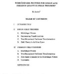 خرید و دانلود نسخه کامل کتاب Schroedinger picture for boson and fermion quantum field theories