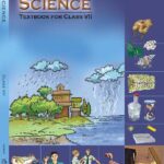 خرید و دانلود نسخه کامل کتاب Science 7