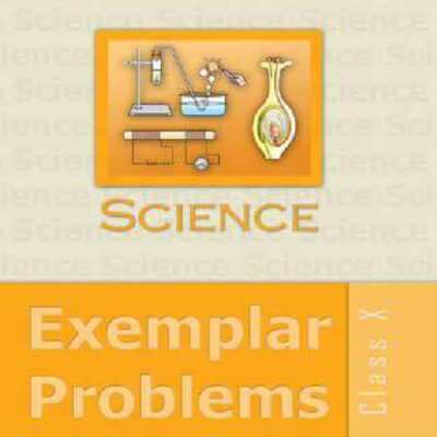 خرید و دانلود نسخه کامل کتاب Science: Exemplar Problems 10