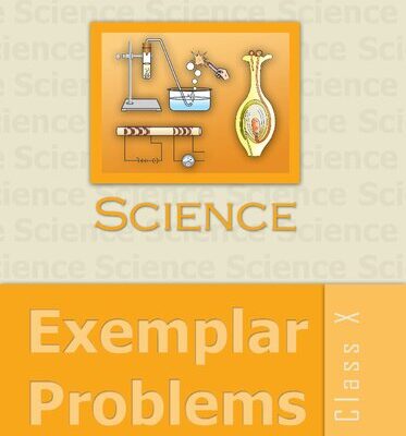 خرید و دانلود نسخه کامل کتاب Science: Exemplar Problems 10