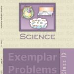 خرید و دانلود نسخه کامل کتاب Science: Exemplar Problems 9