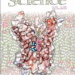 خرید و دانلود نسخه کامل کتاب Science (Vol. 305, No. 5690, September 2004)