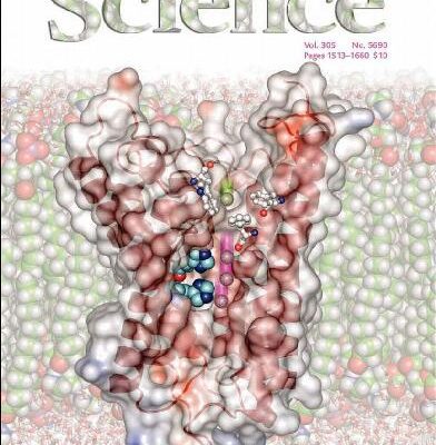خرید و دانلود نسخه کامل کتاب Science (Vol. 305, No. 5690, September 2004)