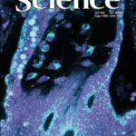 خرید و دانلود نسخه کامل کتاب Science (Vol. 306, No. 5699, November 2004)