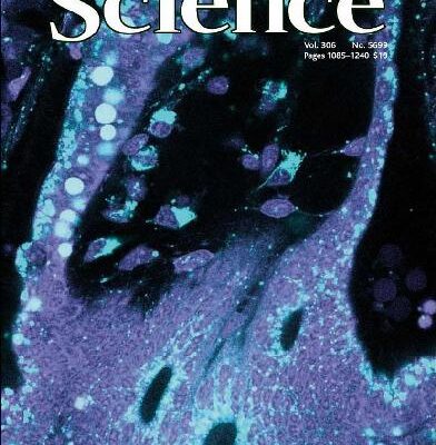 خرید و دانلود نسخه کامل کتاب Science (Vol. 306, No. 5699, November 2004)