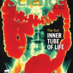 خرید و دانلود نسخه کامل کتاب Science (Vol. 307, No. 5717, March 2005)