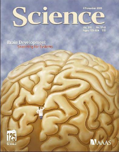 خرید و دانلود نسخه کامل کتاب Science (Vol. 310, No. 5749, November 2005)_68c692d9758db.jpeg خرید و دانلود نسخه کامل کتاب Science (Vol. 310, No. 5749, November 2005)