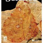 خرید و دانلود نسخه کامل کتاب Science (Vol. 310, No. 5750, November 2005)