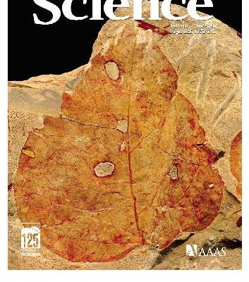 خرید و دانلود نسخه کامل کتاب Science (Vol. 310, No. 5750, November 2005)