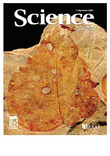 خرید و دانلود نسخه کامل کتاب Science (Vol. 310, No. 5750, November 2005)_68c72194d86a3.jpeg خرید و دانلود نسخه کامل کتاب Science (Vol. 310, No. 5750, November 2005)