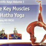 خرید و دانلود نسخه کامل کتاب Scientific Keys Volume I: The Key Muscles of Hatha Yoga