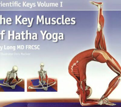 خرید و دانلود نسخه کامل کتاب Scientific Keys Volume I: The Key Muscles of Hatha Yoga