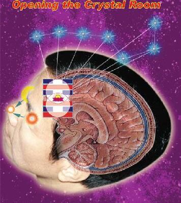 خرید و دانلود نسخه کامل کتاب Sealing of the Five Senses