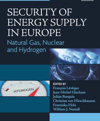 خرید و دانلود نسخه کامل کتاب Security of Energy Supply in Europe: Natural Gas, Nuclear and Hydrogen (Loyola de Palacio Series on European Energy Policy)