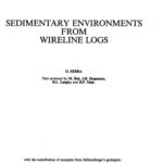 خرید و دانلود نسخه کامل کتاب Sedimentary environments from wireline logs