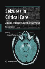 خرید و دانلود نسخه کامل کتاب Seizures in Critical Care: A Guide to Diagnosis and Therapeutics