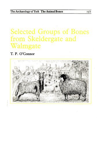 خرید و دانلود نسخه کامل کتاب Selected Groups of Bones from Skeldergate and Walmgate_68c47dcd0ef95.jpeg خرید و دانلود نسخه کامل کتاب Selected Groups of Bones from Skeldergate and Walmgate