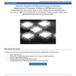 خرید و دانلود نسخه کامل کتاب Selective Growth of Si Nanowire Arrays via Galvanic Displacement Processes in Water-in-Oil Microemulsions