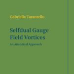 خرید و دانلود نسخه کامل کتاب Selfdual Gauge Field Vortices: An Analytical Approach