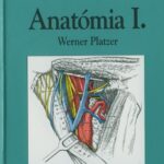 خرید و دانلود نسخه کامل کتاب SH atlasz Anatomia: vol I., Mozgasszervrendszer   Springer Hungarica Atlas of Human Anatomy vol. I.
