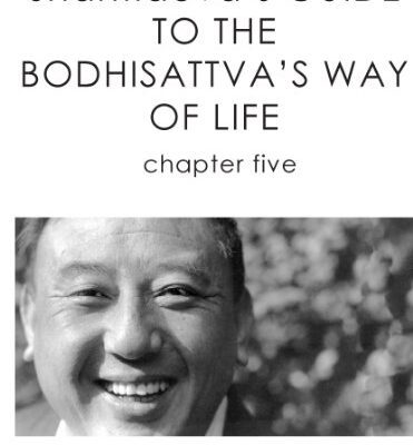خرید و دانلود نسخه کامل کتاب Shantideva’s Guide to the Bodhisattva’s Way of Life: Chapter 5  –  +  pdf