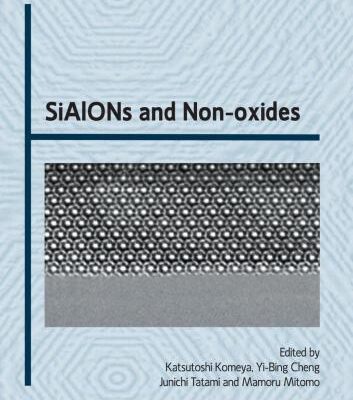 خرید و دانلود نسخه کامل کتاب SiAlONs and Non-oxides
