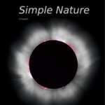 خرید و دانلود نسخه کامل کتاب Simple Nature : An Introduction to Physics for Engineering and Physical Science Students