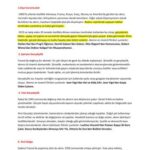 خرید و دانلود نسخه کامل کتاب sinema-tarihi-ve-sinemada-akc4b – MEHMETPC.epub