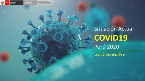 خرید و دانلود نسخه کامل کتاب Situación Actual COVID-19 Perú 2020. 29 de setiembre_68bc32c1194a1.jpeg خرید و دانلود نسخه کامل کتاب Situación Actual COVID-19 Perú 2020. 29 de setiembre