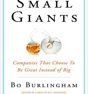 خرید و دانلود نسخه کامل کتاب Small Giants: Companies That Choose to Be Great Instead of Big