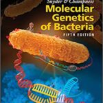 خرید و دانلود نسخه کامل کتاب Snyder and Champness Molecular Genetics of Bacteria (5th Edition) – + Pdf