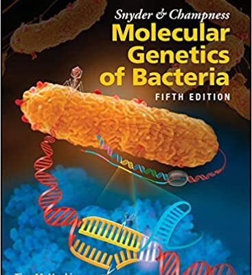 خرید و دانلود نسخه کامل کتاب Snyder and Champness Molecular Genetics of Bacteria (5th Edition) –  +  Pdf