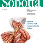 خرید و دانلود نسخه کامل کتاب Sobotta Atlas of Anatomy General Anatomy and Musculoskeletal System